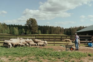 fermier-agriculteur