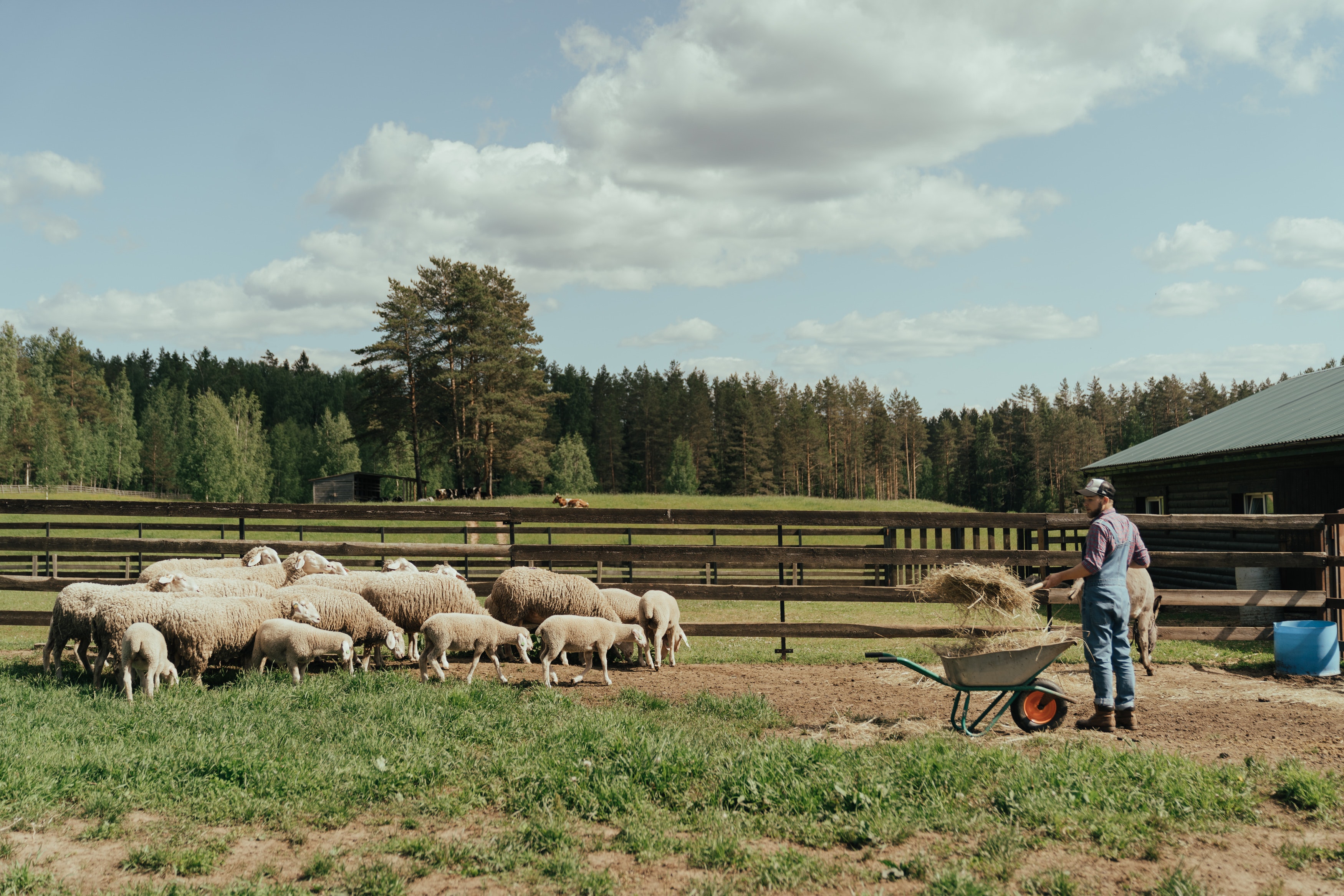 eleveur-agriculteurs